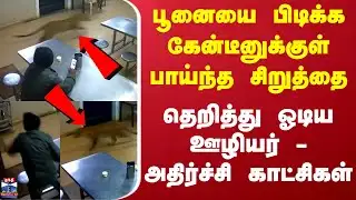 Nilgiris  | Cat | Leopard | கேன்டீனுக்குள் நுழைந்த சிறுத்தை - தெறித்து ஓடிய ஊழியர்
