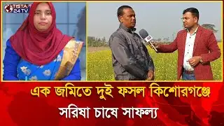 ধান খেতেই সরিষা চাষে সাফল্য| কিশোরগঞ্জের কৃষকদের নতুন উদ্যোগ | Nilphamari | News | Tista TV
