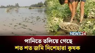 তিস্তা প্রকল্পের বাঁধ ভেঙ্গে তলিয়ে গেছে ৮শ বিঘা, কৃষকের মাথায় হাত | Nilphamari | NEWS24 ‍Special