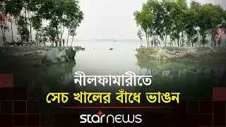 নীলফামারীতে সেচ প্রকল্পের বাঁধ ভেঙে প্রায় ৫০০ বিঘা জমির ফসল পানির নিচে | Nilphamari | Star News