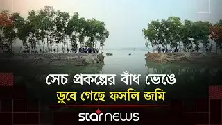 নীলফামারীতে তিস্তা সেচ প্রকল্পের বাঁধ ভেঙে ডুবে গেছে ফসলি জমি | Nilphamari | Star News