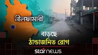 কুয়াশার দাপটে রোদের দেখা মিলছে দেরিতে | Nilphamari | Winter Update | Star News