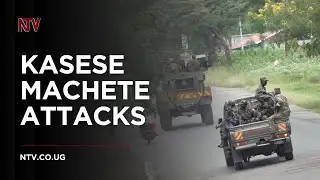 Nine killed in coordinated machete attacks in Kasese