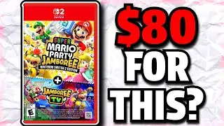 Nintendo, This Is Stupid