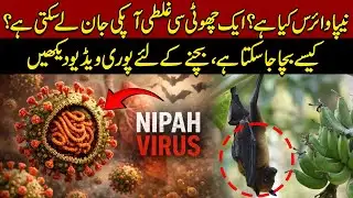 Nipah Virus Explained | How a Small Mistake Can Cost Your Life & Prevention Tips