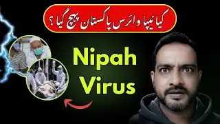 Nipah Virus Outbreak Has 75% Death Rate! Most Dangerous Virus