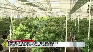 NM lawmakers introduce proposals to legalize recreational marijuana
