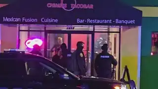 No bond for suspect in shooting at Chimie