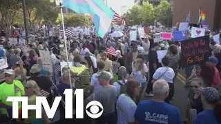 No Kings protest in Little Rock draws large crowd to Arkansas State Capitol