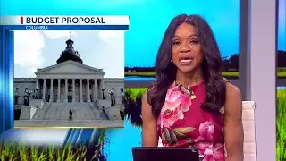 No money set aside for specific communities in new SC Senate budget proposal