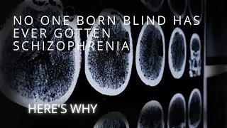 No One Born Blind Has Ever Developed Schizophrenia. Here’s Why.