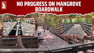 No Progress on Mangrove Boardwalk Repair Even After Several Months