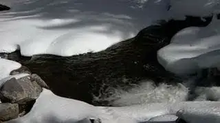 No Snow Bad News for Drought