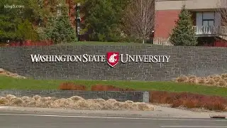 No tuition breaks for WSU students as classes go fully online for fall semester