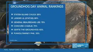 NOOA ranks the accuracy of Groundhog Day predictors