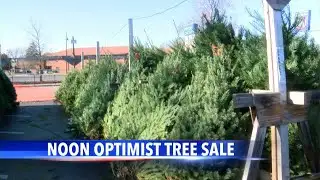 Noon Optimist tree sales