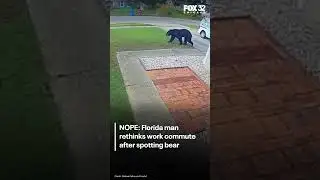 NOPE: Florida man rethinks work commute after spotting bear