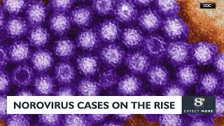 Norovirus cases on  the rise