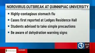 Norovirus outbreak reported at Quinnipiac University