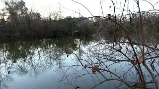 North Augusta anglers oppose fishing ban at Brick Pond Park