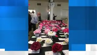 North Shore Camellia Show
