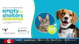 North Shore Human Society