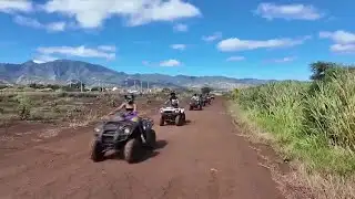 North Shore Stables merges adventure with conservation, culture