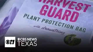 North Texans prepare early as winter weather approaches