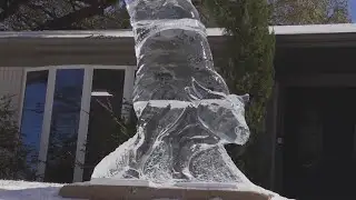 North Texas man turns winter freeze into work of art
