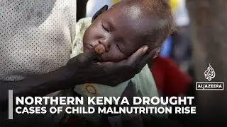 Northern Kenya faces severe child malnutrition crisis driven by prolonged droughts