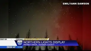 Northern Lights dazzle in Paynes Creek after solar storm