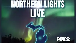 Northern Lights LIVE: Stream the aurora borealis all night long