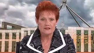 ‘Not skilled at all’: Pauline Hanson claims Australia is ‘drowning’ in unskilled migrants