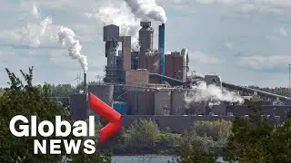 Nova Scotia rejects pulp mill