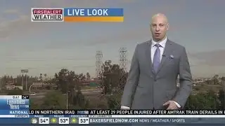 NOW TRENDING: Weatherman attacked by bird