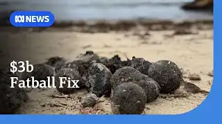 NSW to spend $3b to help prevent debris balls | ABC NEWS