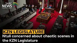 Ntuli concerned about chaotic scenes in the KZN Legislature