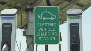 Numbers show slowdown in electric vehicle sales