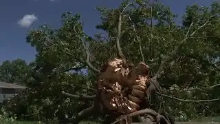 NWS considering Minooka-area tornado touchdown