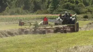 NY announces $3 million for agriculture workforce development programs