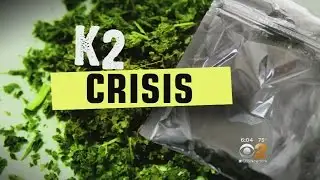 NYC K2 Crisis
