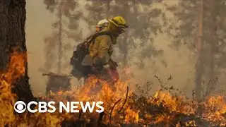 Oak Fire becomes California