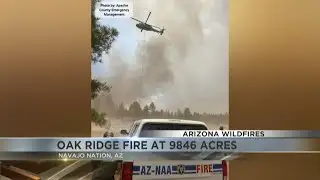 Oak Ridge fire spreading; 9846 acres burned