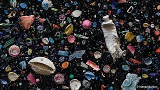 Ocean Rubbish - Behind the News