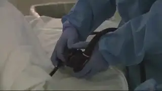 Ochsner Colorectal Cancer Awareness