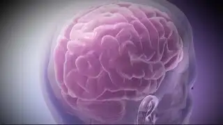 Ochsner : What causes epilepsy and what are the most common signs?