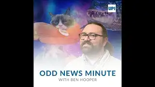 Odds and Ends: Groundhog rankings, crawlspace bear