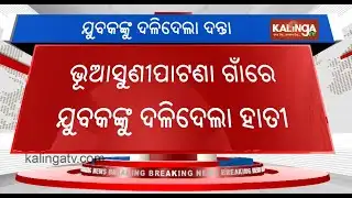 Odisha: Man Trampled to death by wild elephant in Khordha district | Kalinga TV