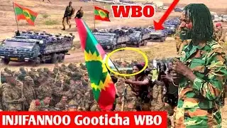 ODUU Ammee 4 February 2026 // Ani Ana media 