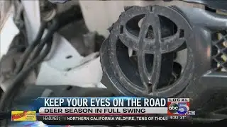 Officer catches deer crash on camera